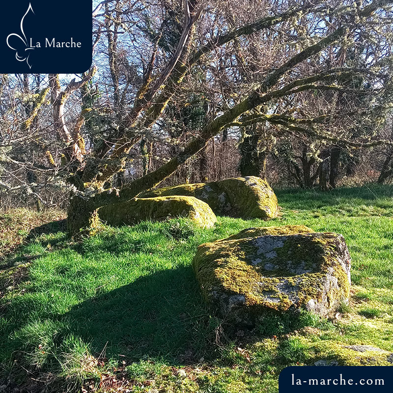 Puy de Gaudy vestige du Moyen-Age