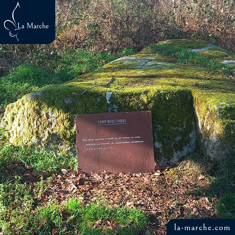 Puy de Gaudy cercle néolithique