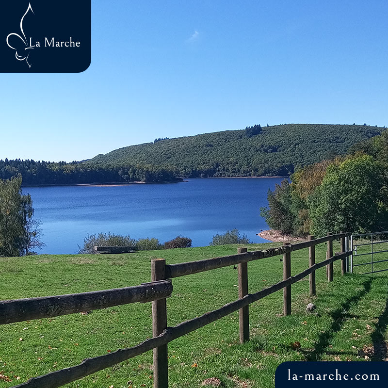 Parc sur l'île centrale