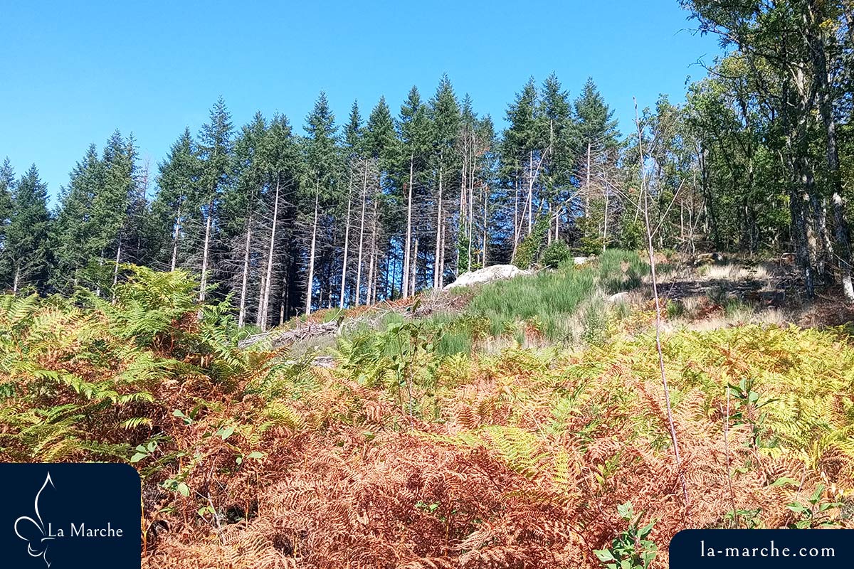 Vue sur le mont du site