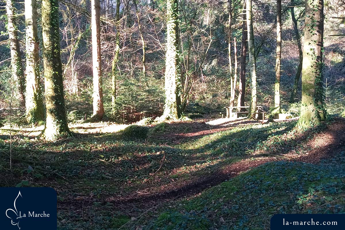 Aire pour Pique-Nique