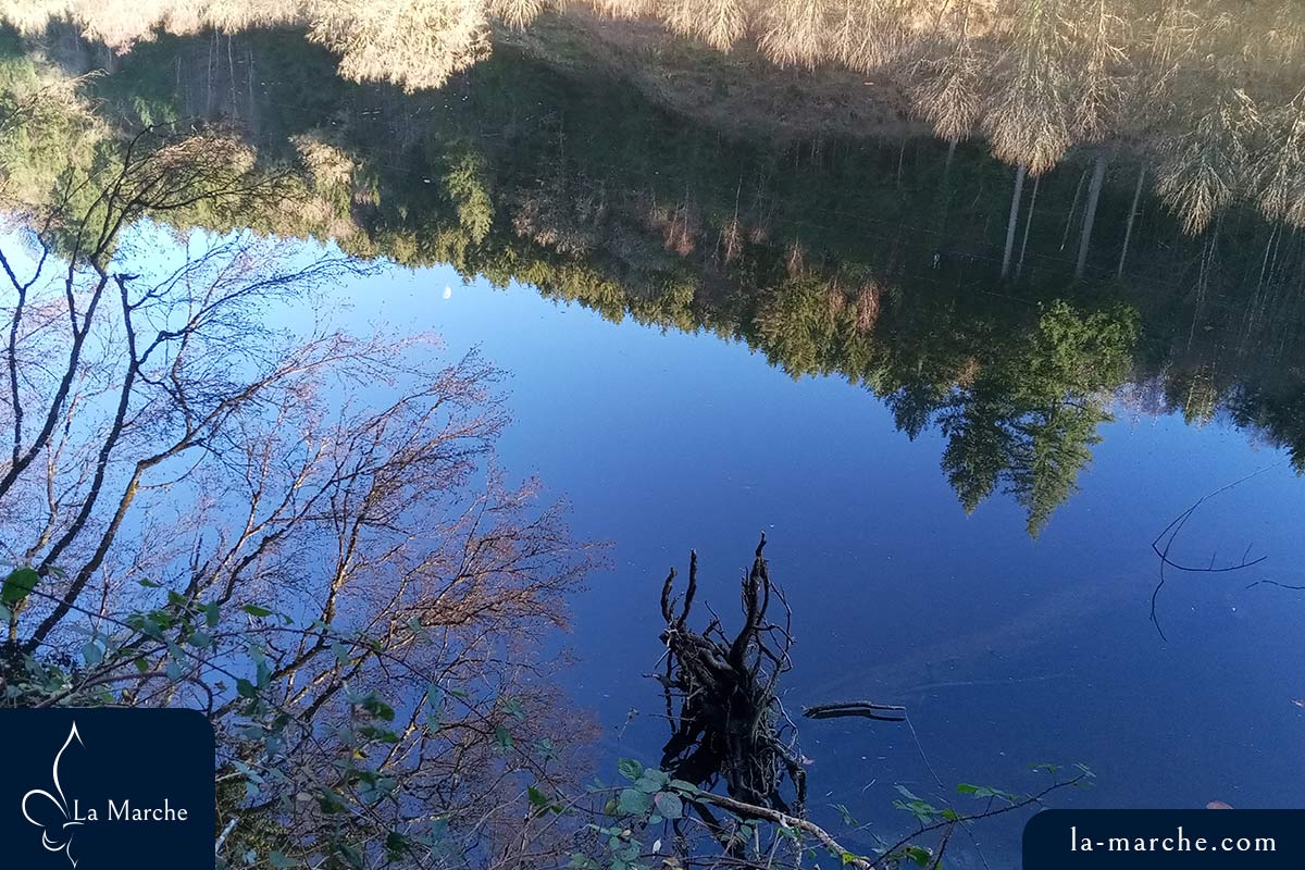 Reflet des arbres sur le Taurion