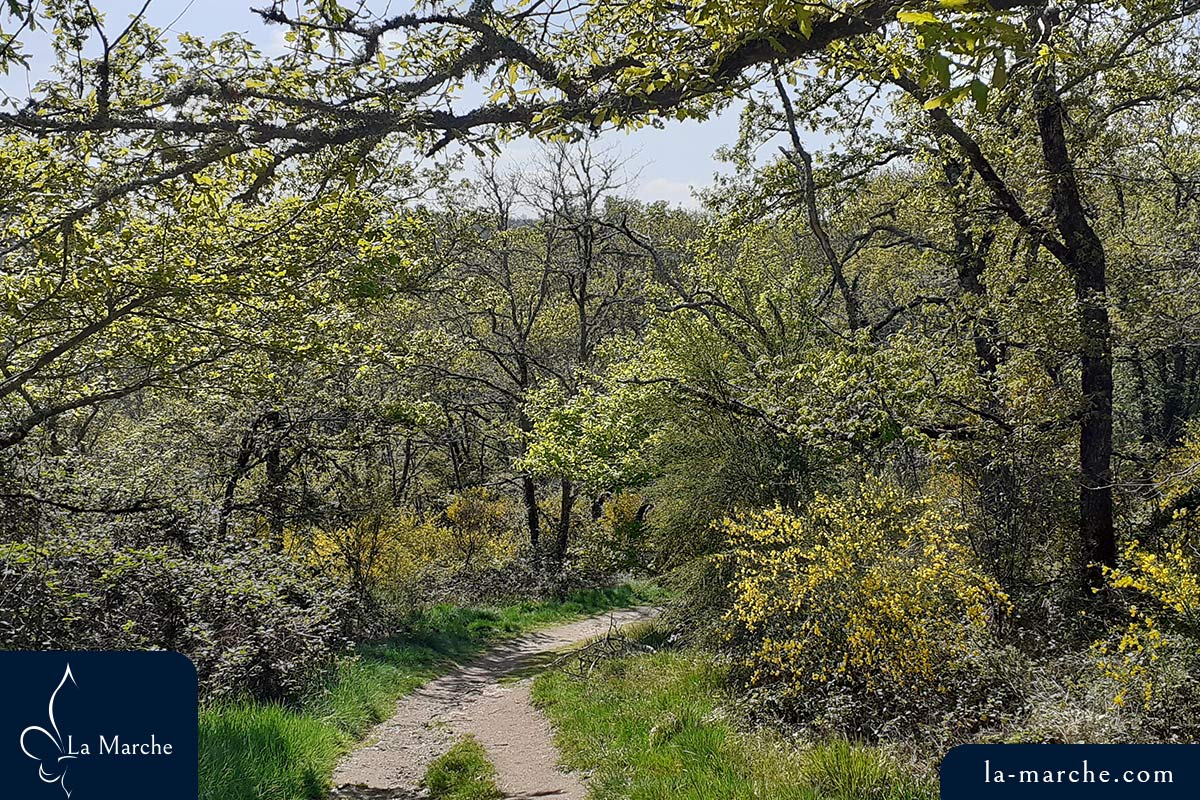 Sur le sentier du Rocher de la Fileuse