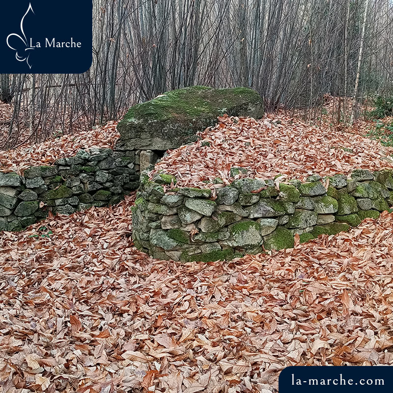 Dolmen du Bois Neuf et son tumulus