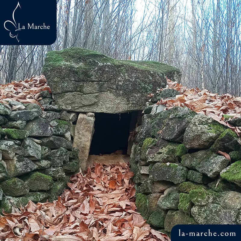 Dolmen du Bois Neuf et son tumulus