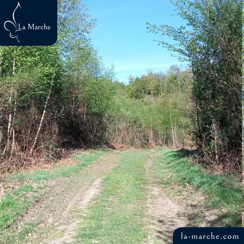 Chemin vers le panorama