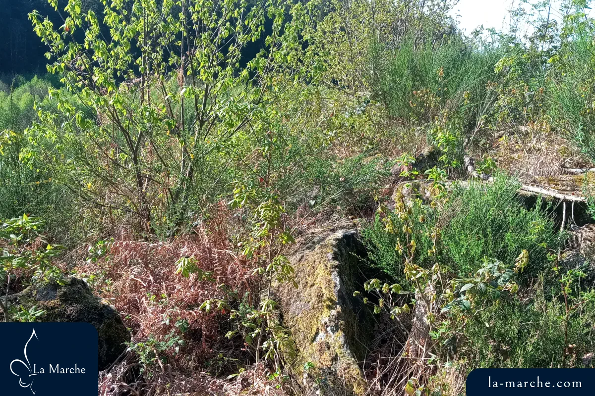 Grand dolmen en ruines