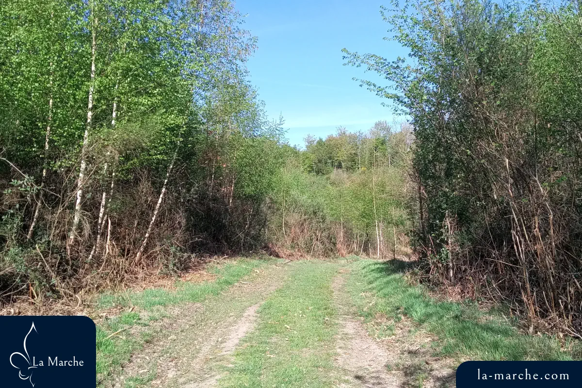 Le chemin d'exploitation