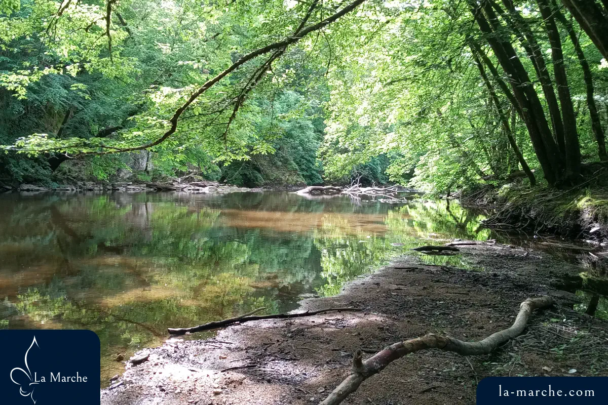 Berges de la Petite Creuse, jour gris