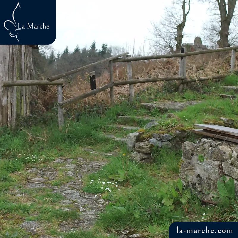 Les ruines du château