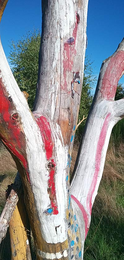 Plateau des Mille Vaches